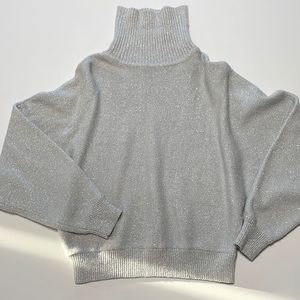 Express Shimmery Silver Sweater, New With Tags, Size M